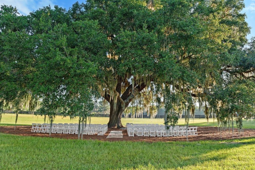 Princess Portable Toilets portable toilets for weddings in Micanopy, FL